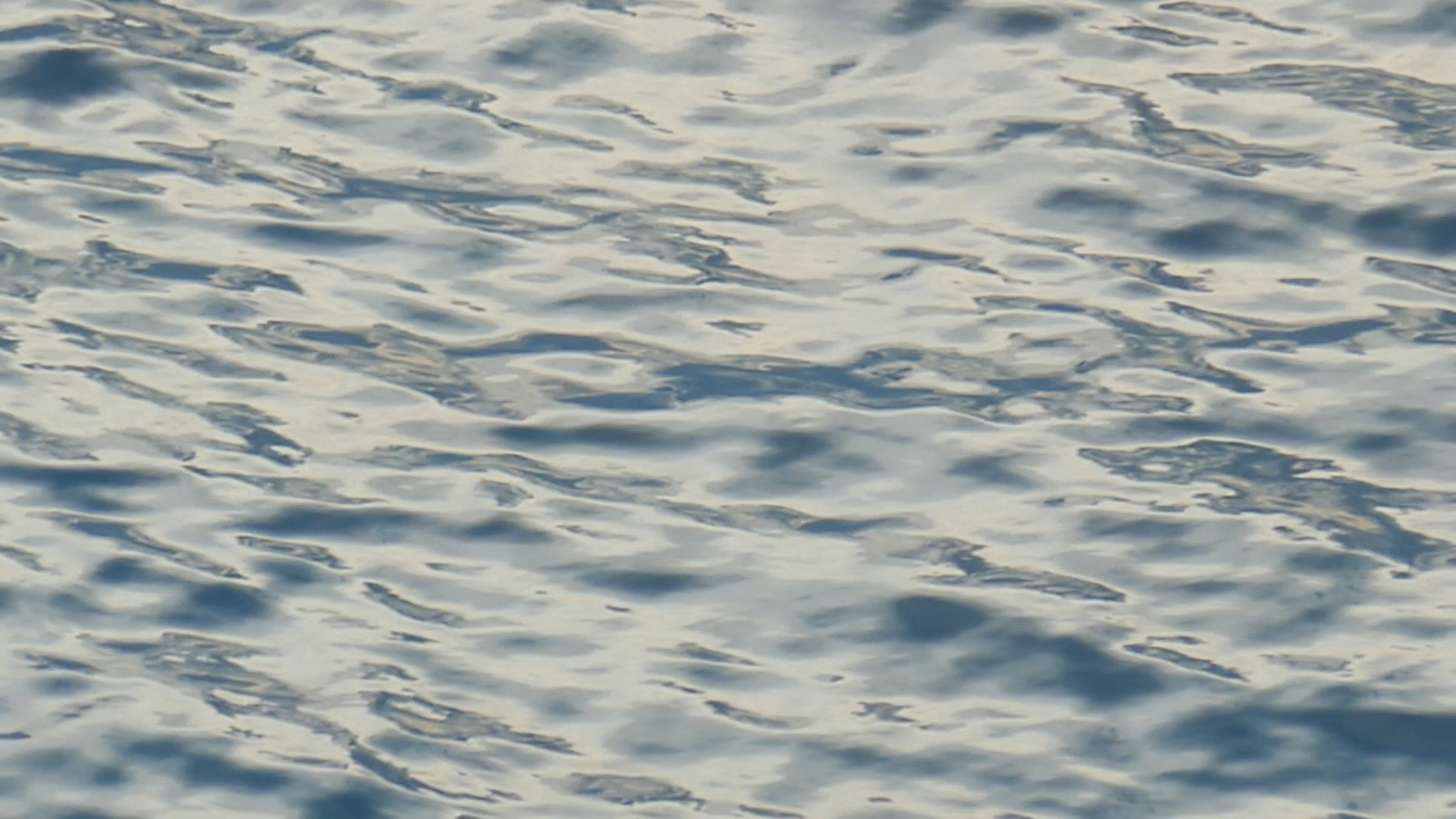 2022-11-07 16 Uhr 50 das Meer (Video)